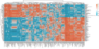 Gut metabolomics and 16S rRNA sequencing analysis of the effects of arecoline on non-alcoholic fatty liver disease in rats